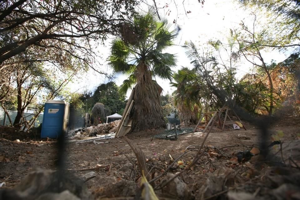 Árboles que serán derribados en Lomas del Country.