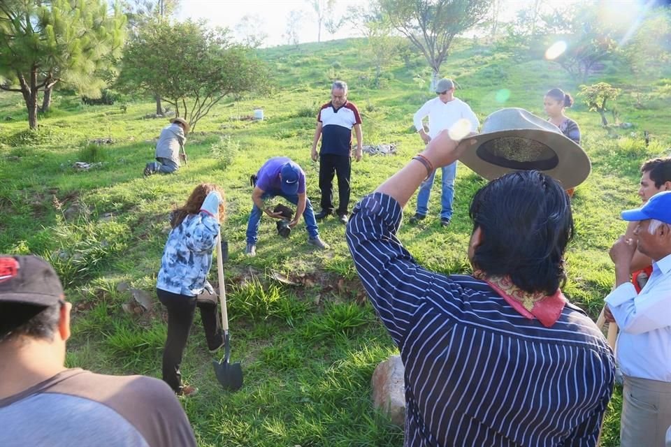 Activistas han llevado a cabo diversas acciones, como reforestación, en el Cerro de la Reina.