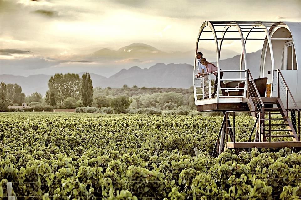 Entre Cielos Wine & Wellness Hotel, Mendoza.