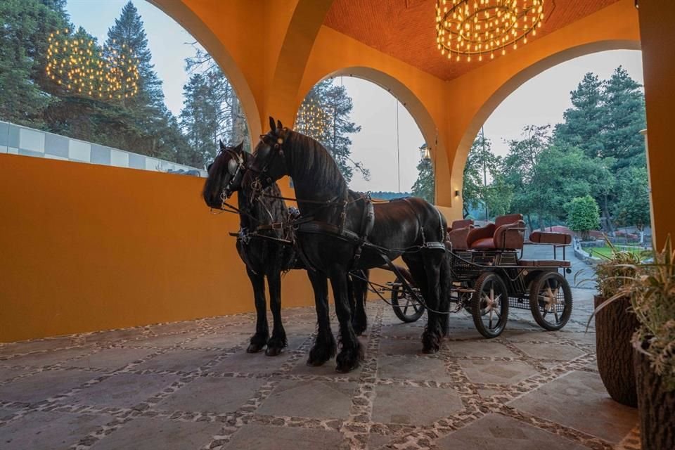 El rancho de Pedro Haces tiene un centro de equitación.