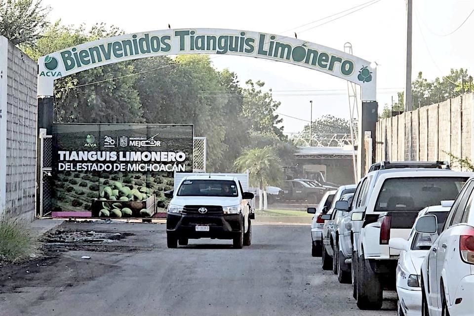 Legisladores de Oposición afirmaron que intentos del crimen por controlar producción de limón en Michoacán es porque Gobierno es permisivo.