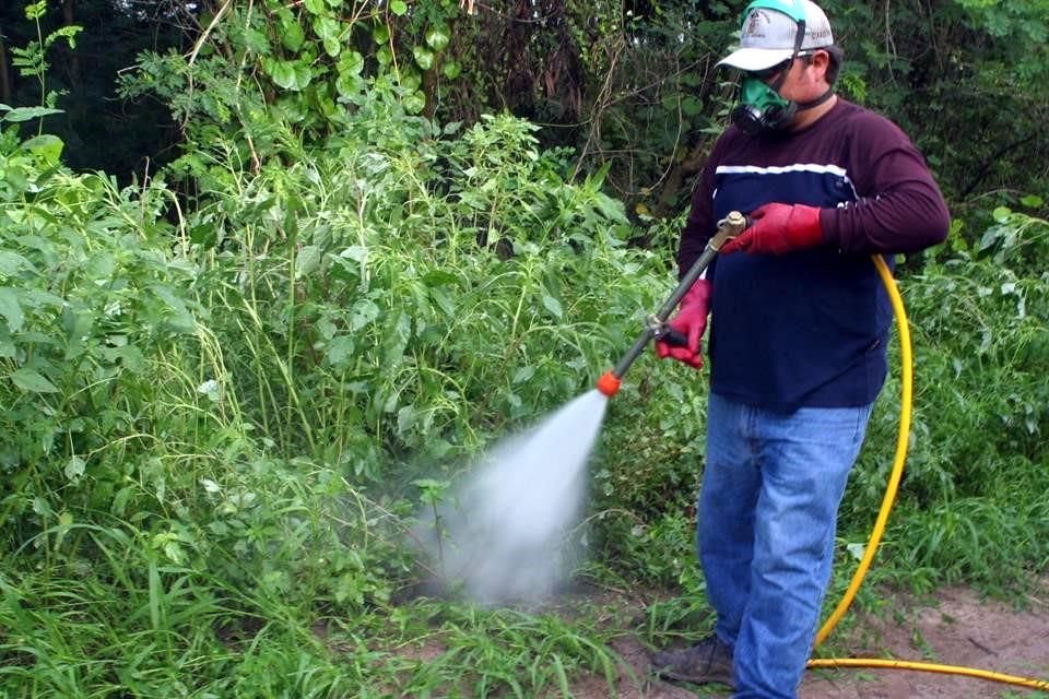 Para pequeños productores agrícolas, el uso de semillas mejoradas ha hecho la diferencia para mantener el nivel de su producción y mejorar sus rendimientos en las cosechas a pesar de la resistencia inicial al cambio.