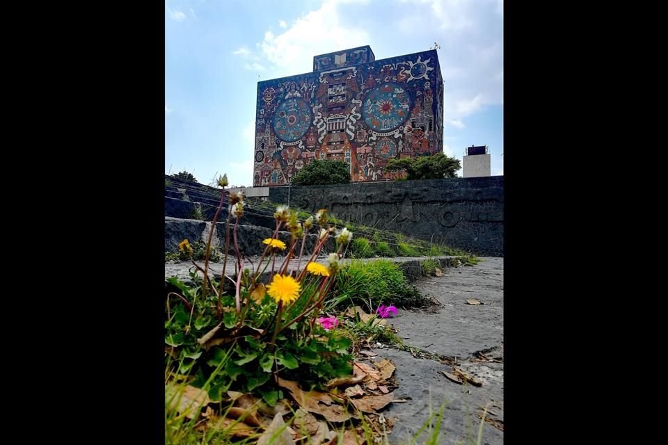 La UNAM y el IPN son consideradas las dos mejores universidades de México, según el Academic Ranking of World Universities 2021.