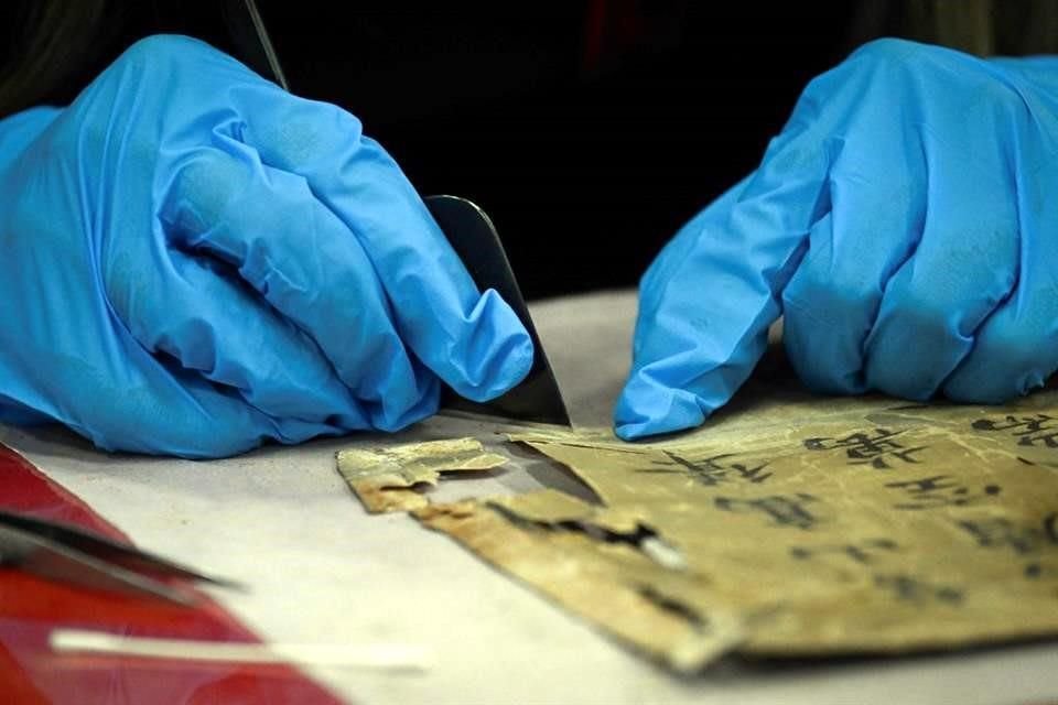 El equipo de especialistas usa guantes de látex para intervenir las piezas.