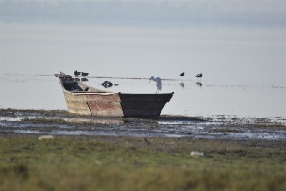 La Semadet visitó la Laguna de Atotonilco, que es Sitio Ramsar desde 2006.