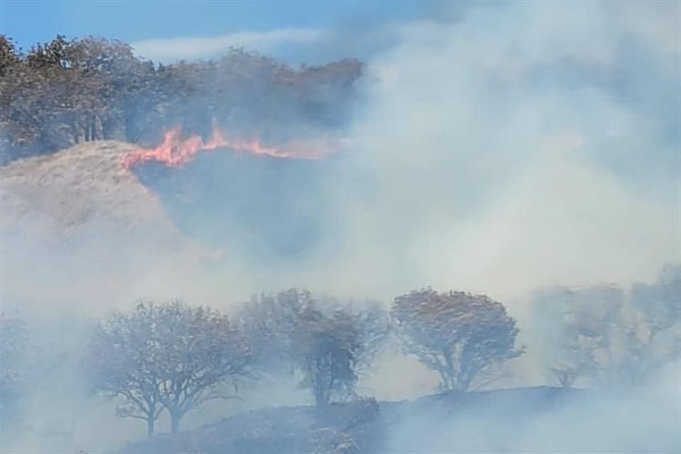 Incendio forestal en Tlajomulco.