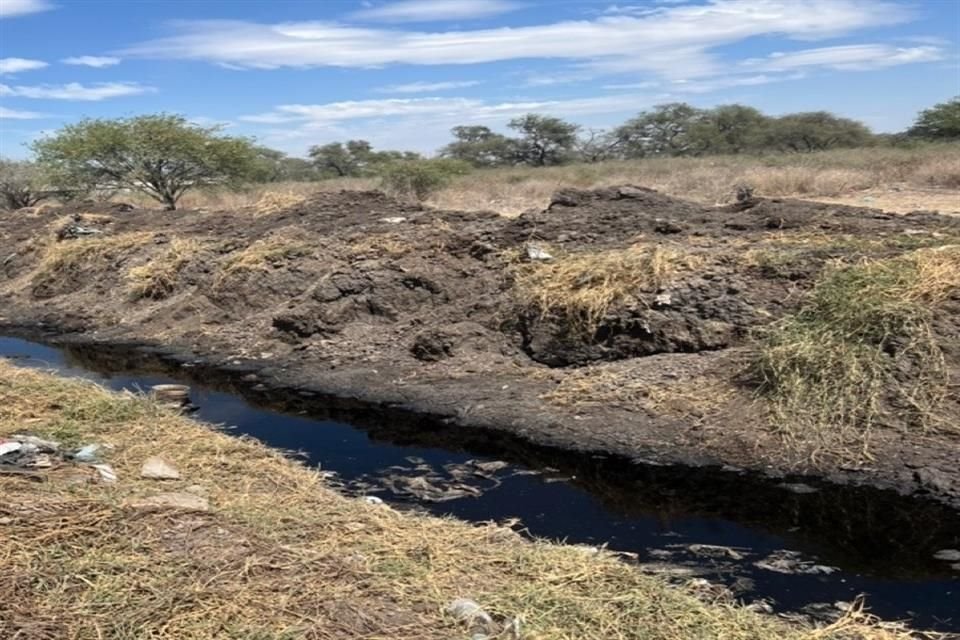 Proepa clausura el predio La Cajilota, en Tlajomulco, que está bajo resguardo de Caabsa Eagle y debe estar libre de desechos.