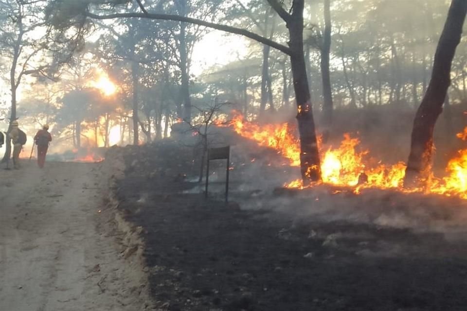 Este incendio inició aproximadamente a la 1:30 de la tarde.