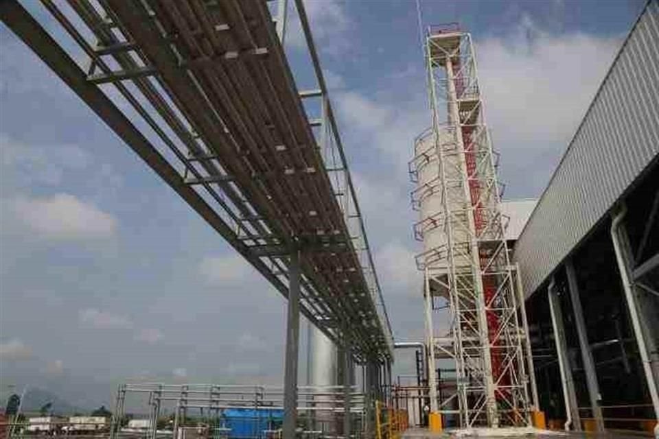 Diageo, empresa de bebidas premium, proyecta disminuir el uso de agua en sus instalaciones y reponer la que utilizan.