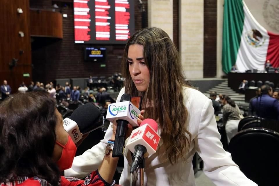 La legisladora Ealy durante la sesión de este martes en la Cámara de Diputados.