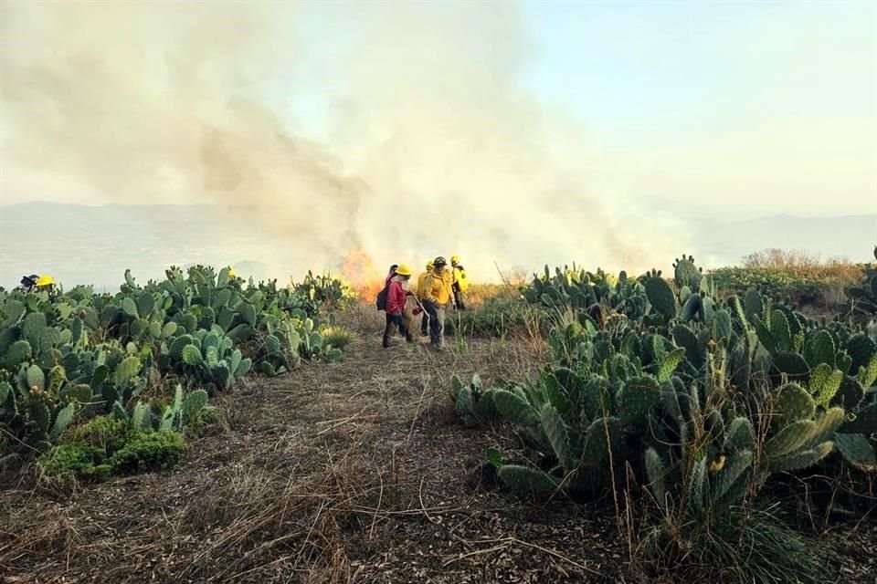 Vecinos y empresarios alertan por la magnitud del incendio forestal registrado en el Parque Estatal Cerro Gordo, en Teotihuacán #Edomex, que empezó la tarde del viernes.