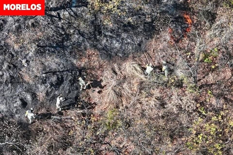 Incendios forestales en Morelos