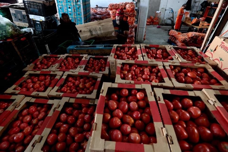 De cada 3 jitomates consumidos en la Unión Americana, 2 son de origen mexicano, la principal afectación sería para los consumidores estadounidenses.