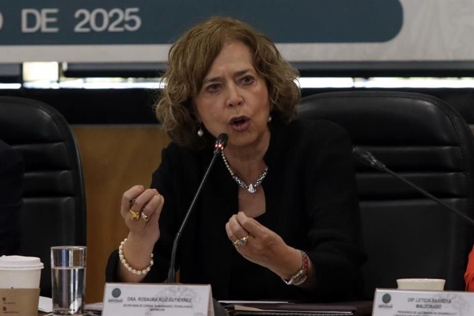 Rosaura Ruiz está al frente de la Secretaría de Ciencia, Humanidades, Tecnologías e Innovación (Secihti), creada por el actual Gobierno.