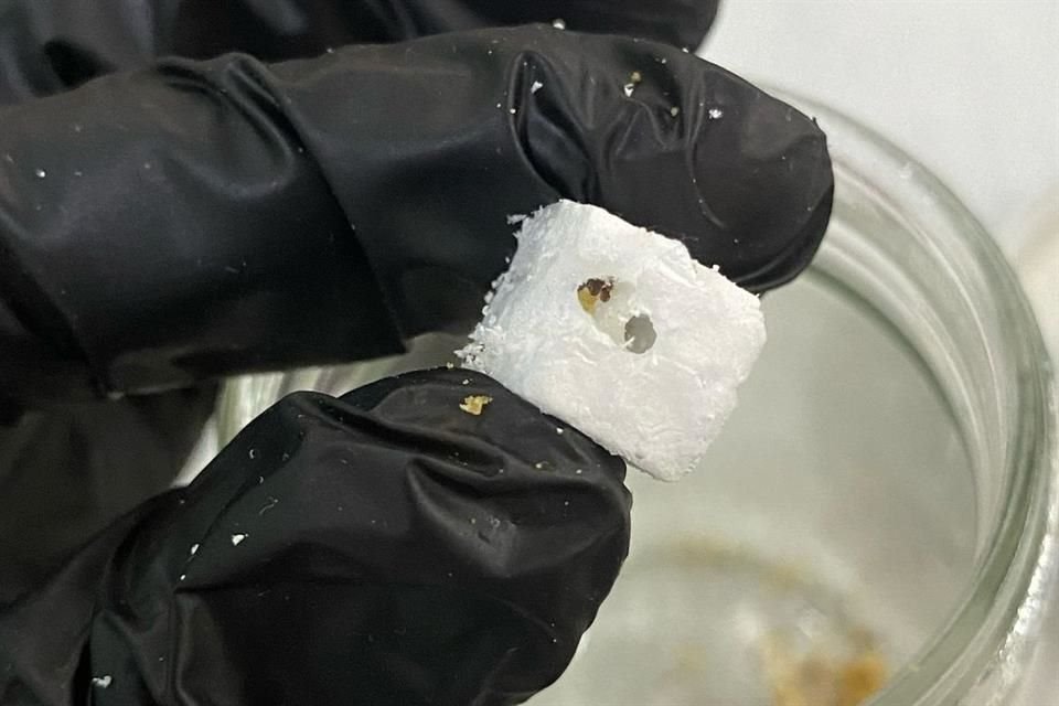 '(Las polillas de la cera) cuentan con enzimas y con algunos microorganismos asociados a su tracto digestivo que les permiten llevar a cabo la ruptura de estos enlaces y, con ello, probablemente la degradación de estos plásticos', dice la experta.
