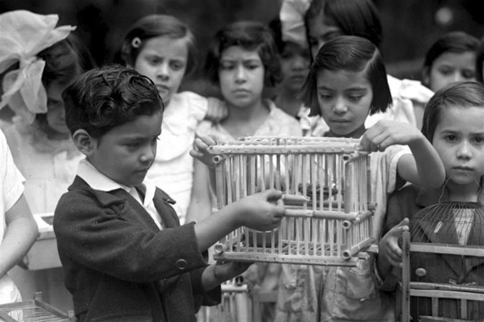 La niñez, históricamente, ha sido vista de manera romántica; 'devolverles la voz es la cruzada fundamental', asegura la investigadora Beatriz Alcubierre.