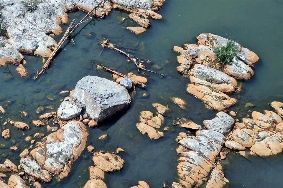 El derrame de químicos alcanzó una zona verde ubicada a la altura del Bulevar Acapulco, en Apodaca.