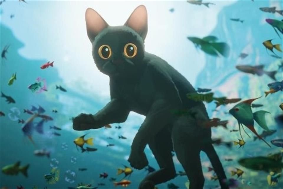 El filme 'Flow' se llevó el galardón a Mejor Película Animada en la edición más reciente de los premios Óscar.