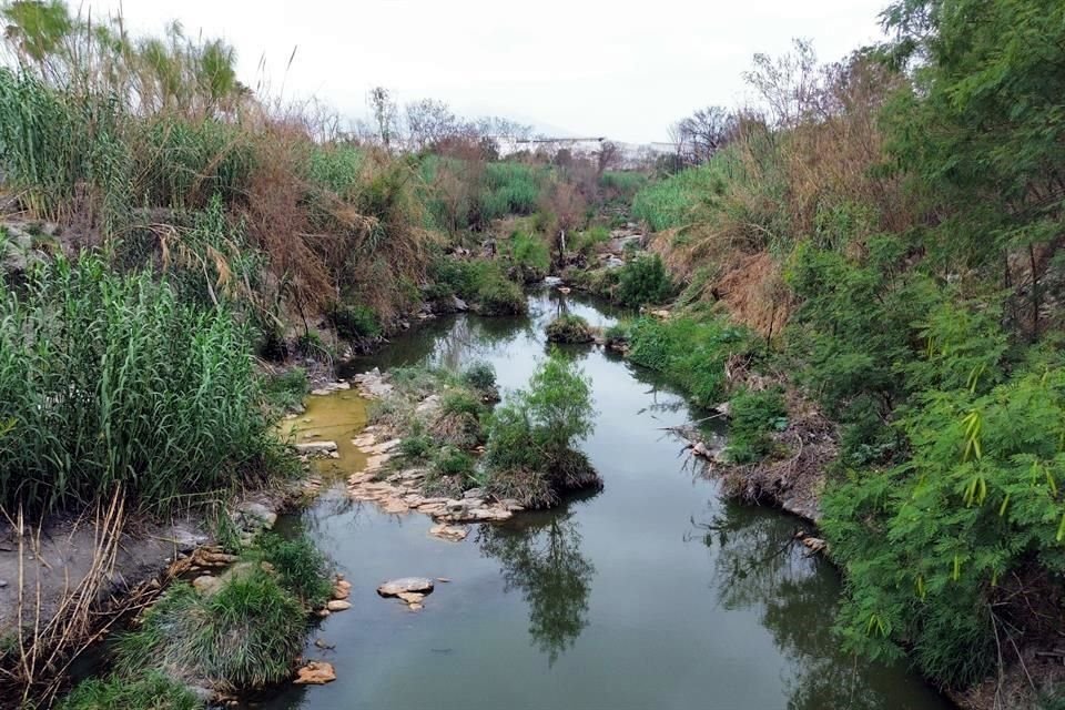 Especialista llama a vigilar afectación de especies protegidas, como el castor americano, tras derrame de Ternium en el Arroyo La Talaverna.