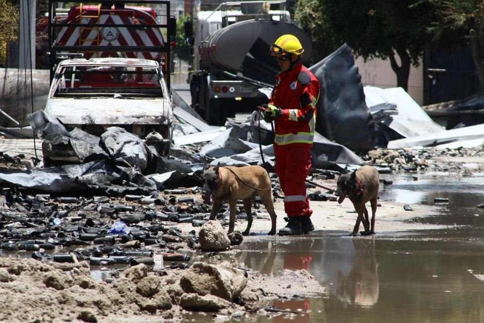 Tres empleados de la fábrica que se incendió en Álamo Industrial, son buscados por perros y entrenadores, entre los escombros del lugar.