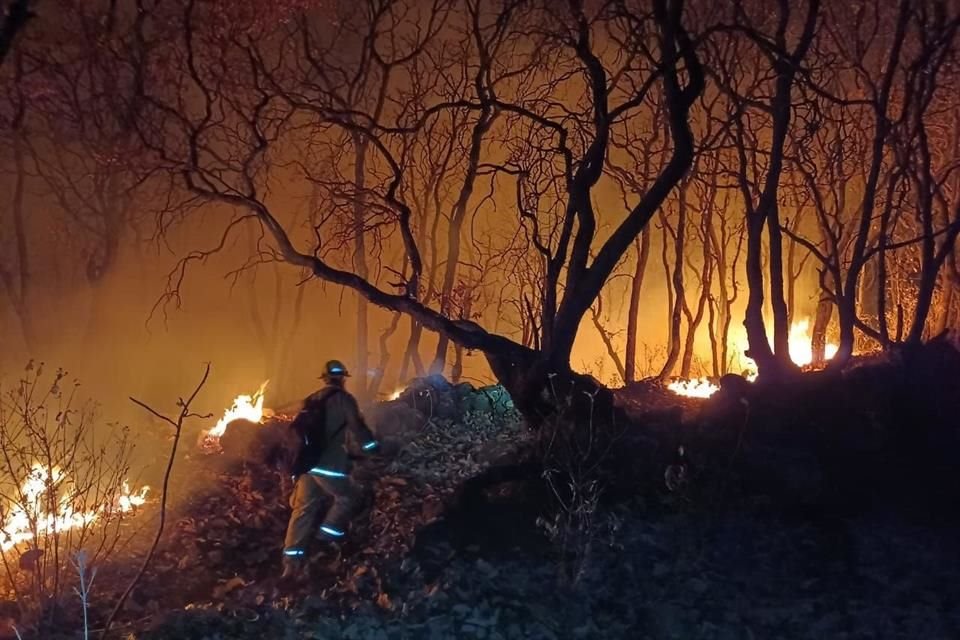 Jalisco es el segundo Estado con más incendios forestales: entre el 1 de enero y el 1 de mayo de este año se han registrado 586 siniestros.