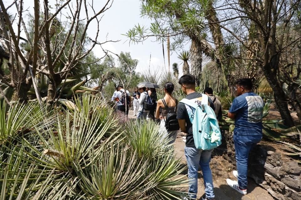 El Jardín Botánico de la UNAM celebró el Día Nacional con ciencia, juegos, talleres y venta de plantas para toda la familia.