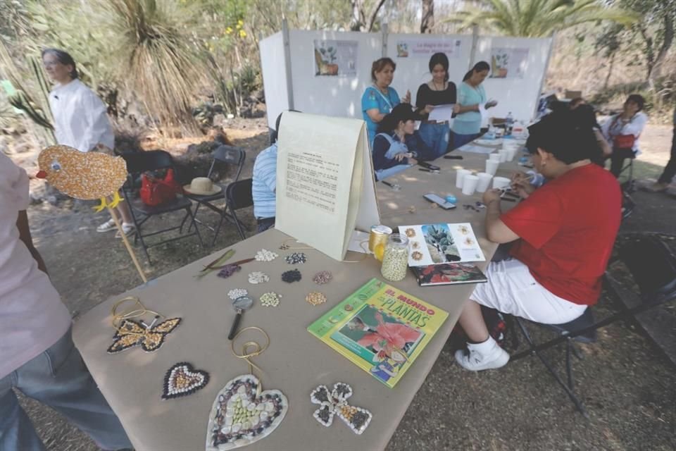 El Jardín Botánico de la UNAM celebró el Día Nacional con ciencia, juegos, talleres y venta de plantas para toda la familia.