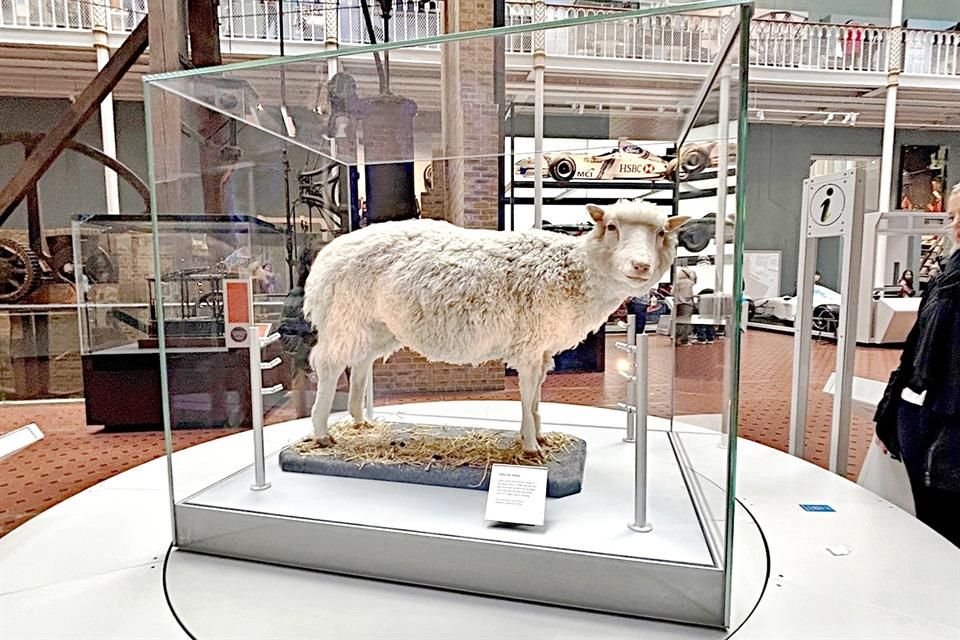 Nationalmuseum von Schottland.