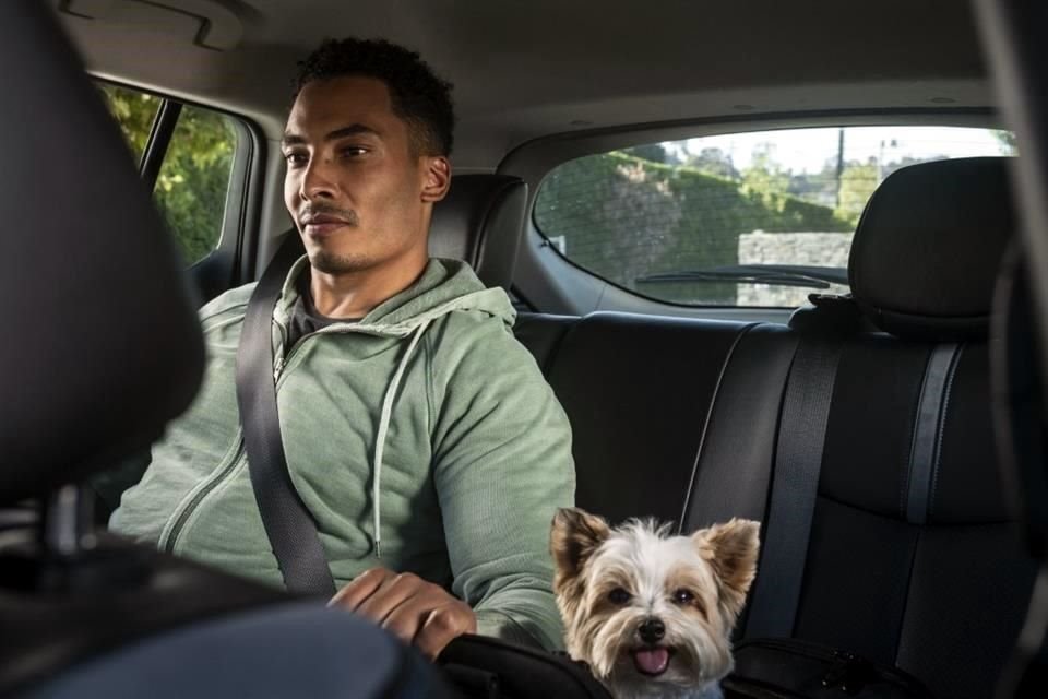 La reserva de Uber Pet puede hacerse desde 30 minutos y hasta 90 días antes del viaje.