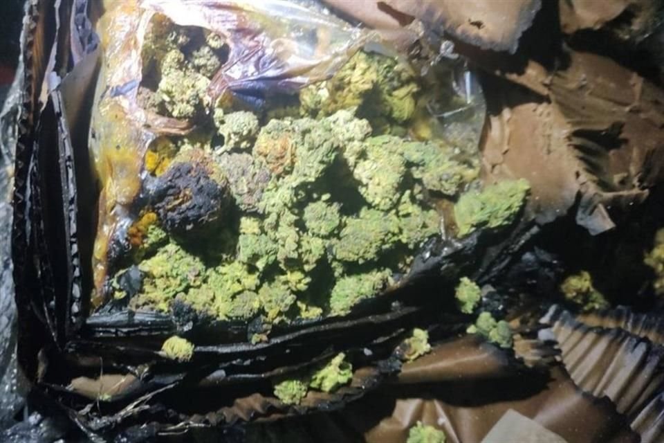 Fueron localizados alrededor de 10 kilogramos de polvo blanco, al parecer cocaína, así como 25 kilogramos de mariguana.