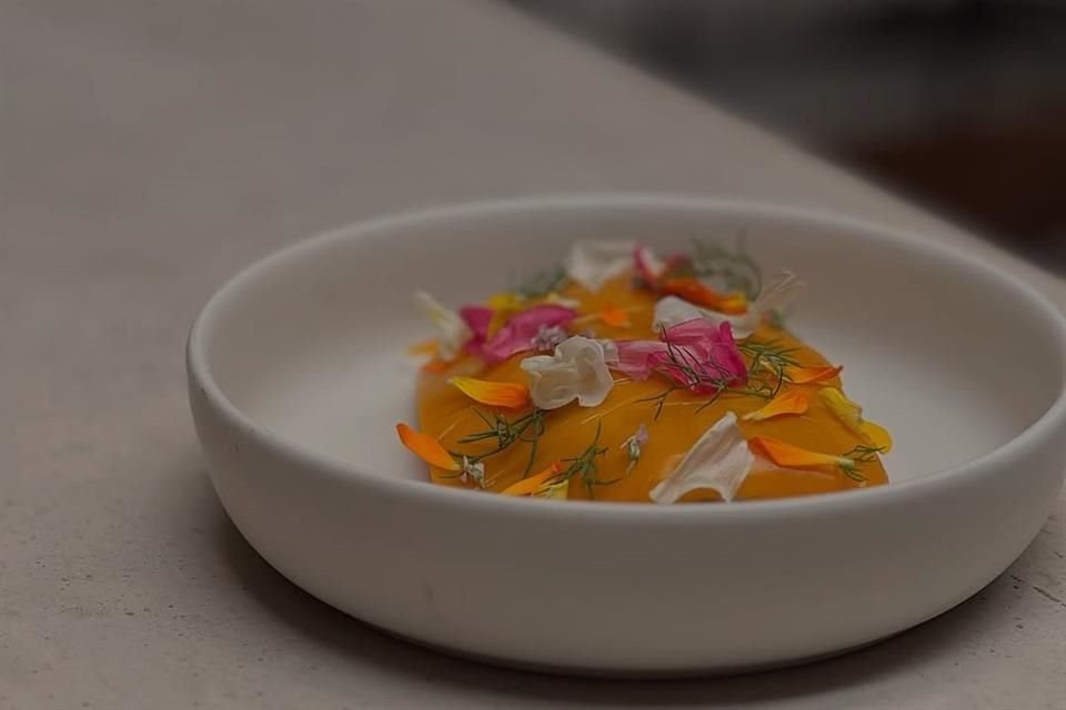 Pímu es un espacio tropical que rinde homenaje a las cocinas de México y la mixología de autor.