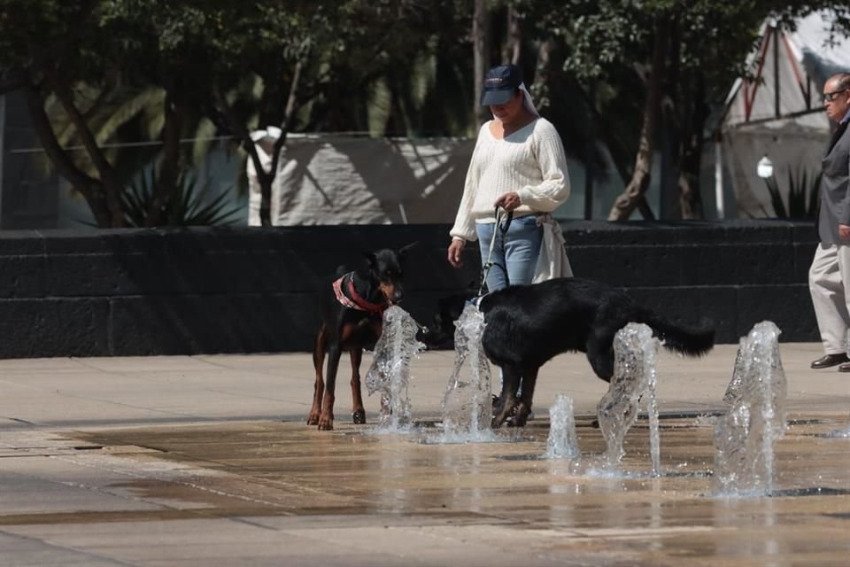 'Se pronostican temperaturas máximas de 30 a 32 grados Celsius entre las 13:00 y las 18:00 horas del miércoles 07 de mayo', indicó Protección Civil.