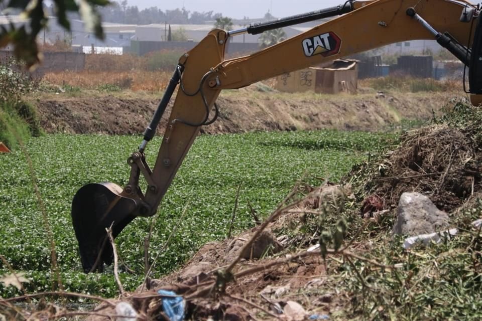 Entre los lirios que crecen en un canal de la Colonia San Martín de las Flores de Abajo, en San Pedro Tlaquepaque, fue localizado el cadáver de un hombre.