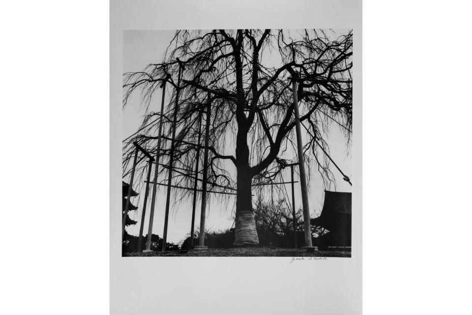 A exposição intitulada 'Graciela Iturbide' é composta por 140 fotografias da artista mexicana.