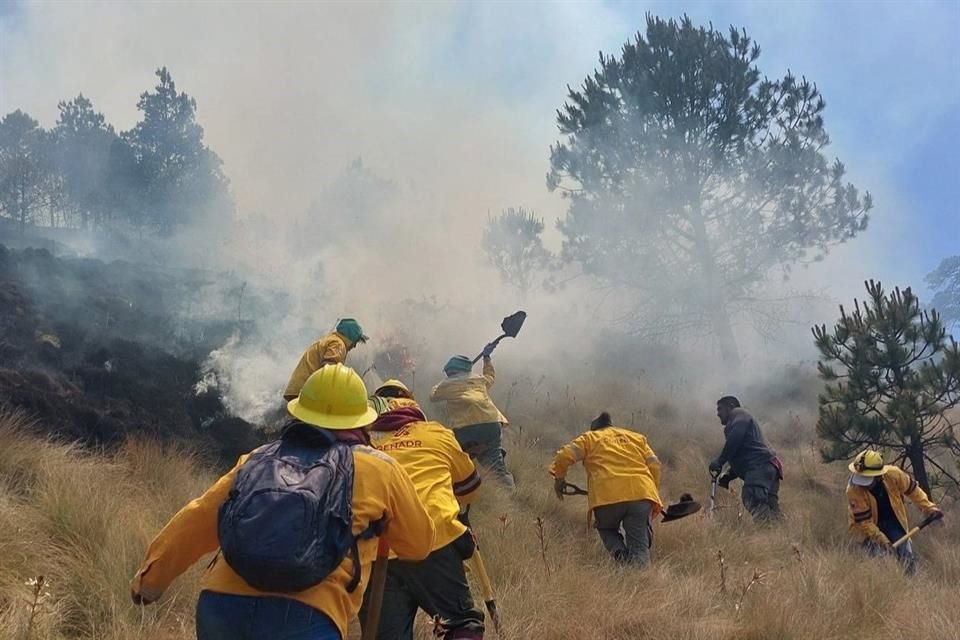 Un estudio revela la probable relación de los asentamientos ubicados en suelo de conservación con los incendios que asedian a los bosques de la Capital.