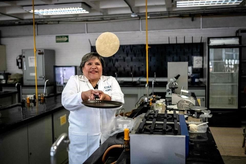Biyokimya mühendisi Raquel Gómez Pliego, UNAM'ın Cuautitlán Gıda ve Tarım Örgütü'nün (FES) Endüstriyel Mikrobiyoloji Laboratuvarı'nda geliştirilen un tortillasını gösteriyor.
