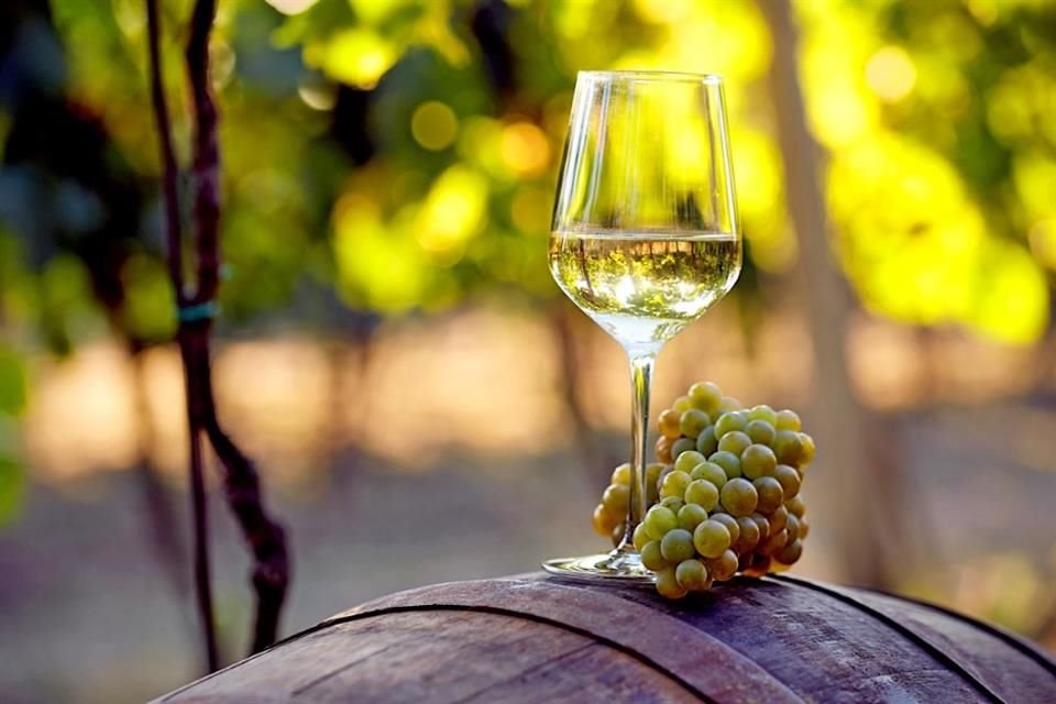 El consumo total per cápita de vino mexicano llegó en 2024 a 1.56 litros.