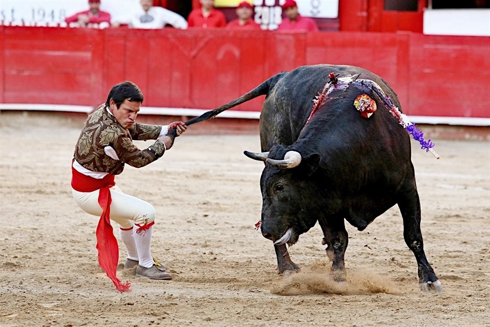 Por primera vez en la Plaza de Toros Nuevo Progreso, los Forcados Amadores de México realizarán la pega a los seis toros. 
