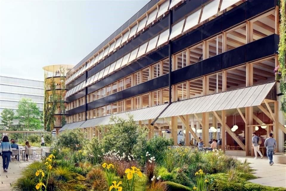 El concepto de paisaje proporcionará un microclima saludable para el sitio y permitirá una gestión sencilla del agua de lluvia.
