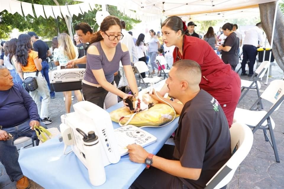 El programa acercó servicios médicos, desparasitación, vacunación, corte de uñas y ecografías a las mascotas de la zona de manera gratuita para sus dueños.