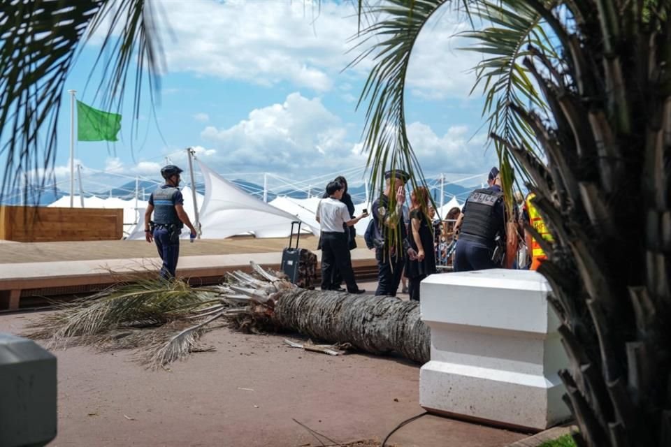 El accidente tuvo lugar en pleno Festival de Cannes, que empezó el martes pasado, en un lugar, a lo largo de la playa, donde hay muchos participantes del certamen y también turistas.