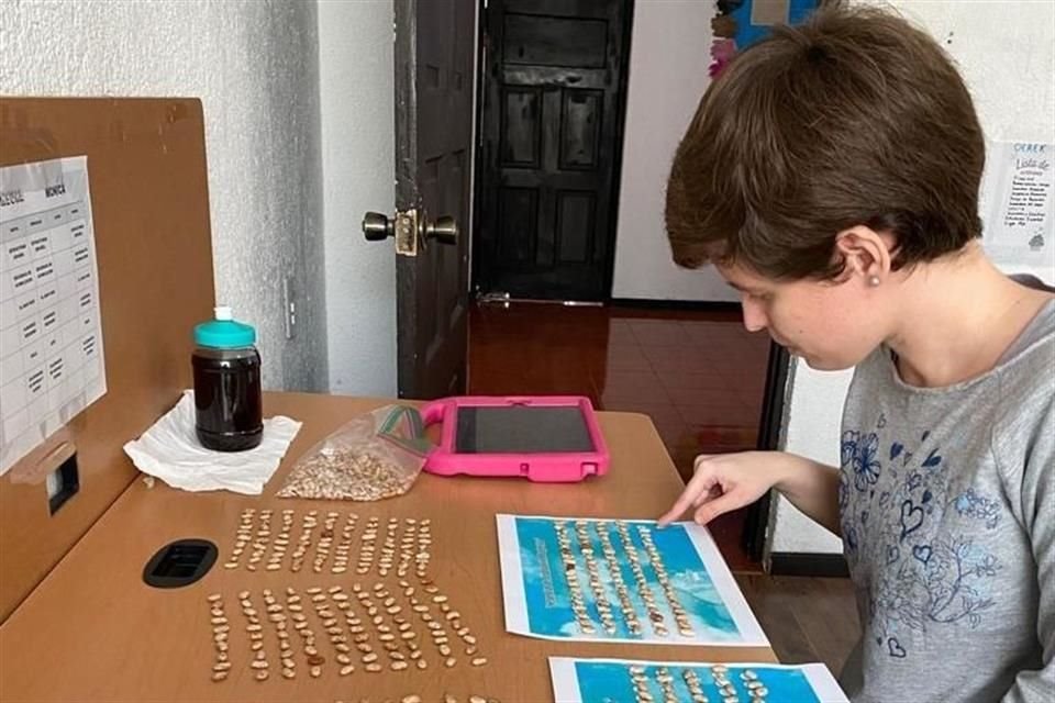 El Centro brindará servicios a personas de entre 3 y 60 años que vivan con autismo o con alguna discapacidad intelectual, a quienes se les realizará una consulta de diagnóstico.