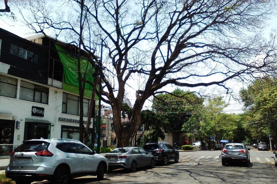 SOLIDARIDAD. Con la Alcaldía MH, que también contribuirá, el martes arranca la colecta.