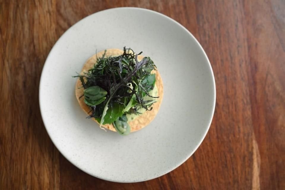 Por tiempo definido el chef Jorge León, de Alfonsina, presentará un menú de cinco tiempos en el restaurante LagoAlgo, ubicado en el Bosque de Chapultepec