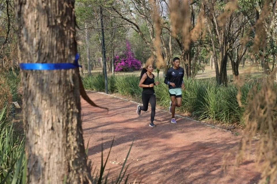 La pista de El Sope, en la Segunda Sección de Chapultepec, es muy concurrida, sobre todo por corredores.