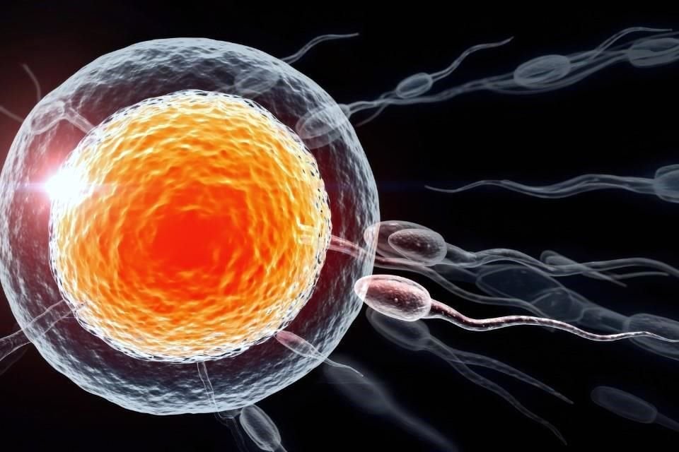 Parejas que anteponen sus metas profesionales u otros objetivos de vida, tienen en las tecnologías de fertilización aliadas para planear su futuro reproductivo.