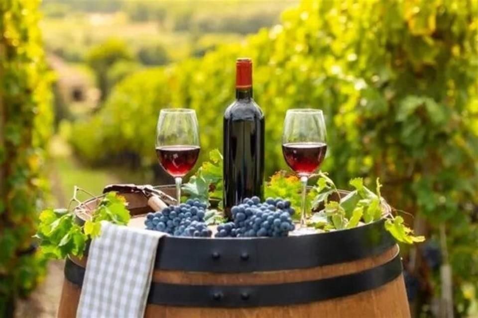 Podrás disfrutar de catas guiadas por los productores que participarán en el evento, así como de nuevas experiencias inmersivas con el vino de la región Cava Nimue.