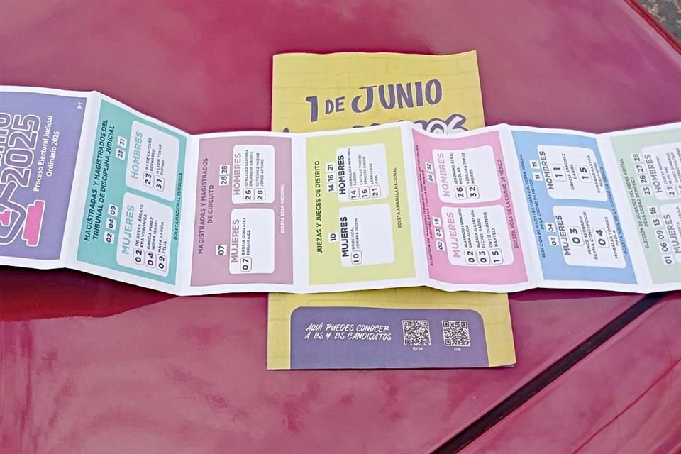Jaime Rivera, consejero del INE, afirmó que el costo de los acordeones que se han repartido a lo largo del país podría sumarse a los gastos de campaña de los candidatos que aparezcan en ellos.