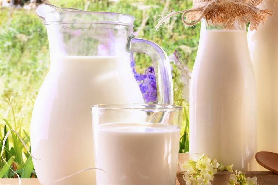 La leche es una fuente excelente de proteínas de alto valor biológico, cuenta con dos paquetes, uno del suero y otro de las caseínas que, además, le dan el color blanco.