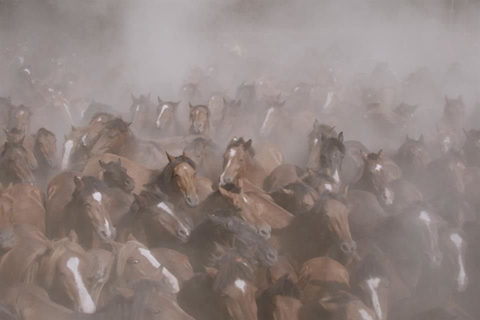 'Sólo en la Tierra' (Dinamarca-España), una de las cinco películas en competencia por el Premio de Cine Socioambiental del FICG 40.